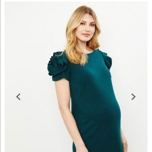 PIETRO BRUNELLI ROSETTE MATERNITY DRESS